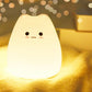 Chaton Mignon