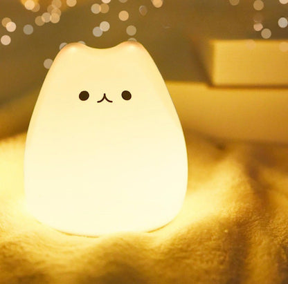 Chaton Mignon